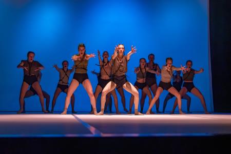 Območna revija plesnih skupin Finesa plesa 2024 (16)